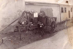 1976