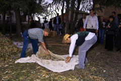 2004