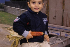 2004_carro-117