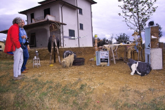 2004_carro-133