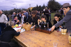 2004_carro-142