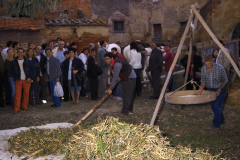 2004_carro-166