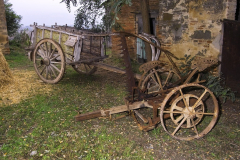 2004_carro-77