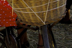 2007_carro-164
