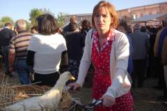 2007_carro-165
