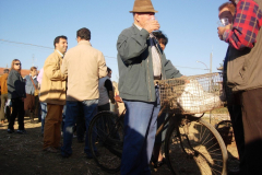 2007_carro-172