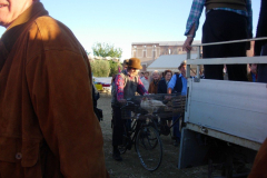 2007_carro-203