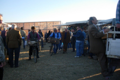2007_carro-205