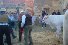 2007_carro-219