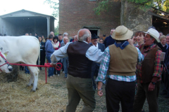 2007_carro-229