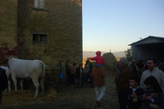2007_carro-252