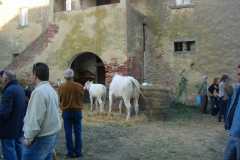 2007_carro-253