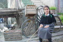 2007_carro-274