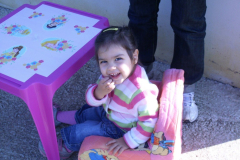 2007_carro-3