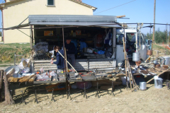 2007_carro-316