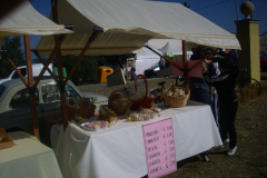 2007_carro-318