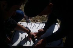 2007_carro-319