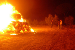 2007_carro-324