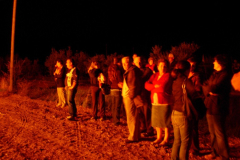 2007_carro-327