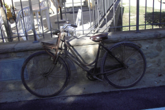2007_carro-350