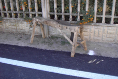 2007_carro-351