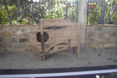 2007_carro-372