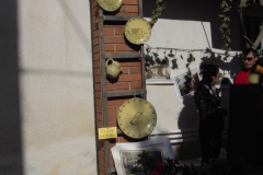 2007_carro-373