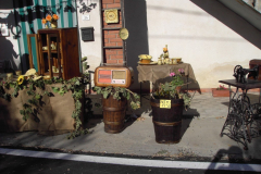 2007_carro-380