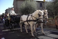 2007_carro-381