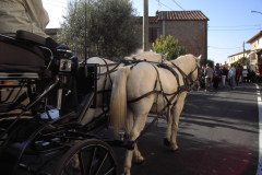 2007_carro-382