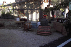 2007_carro-391