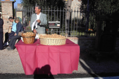 2007_carro-397