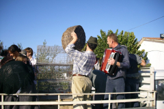 2007_carro-43