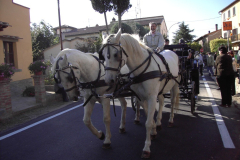 2007_carro-452