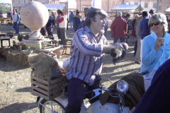 2007_carro-491