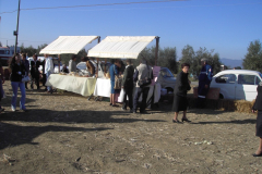 2007_carro-508