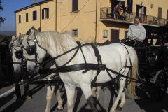 2007_carro-533
