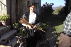 2007_carro-543
