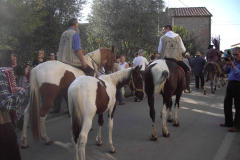 2009_carro-168