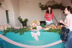 2010_carro-191