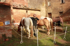 2010_carro-194