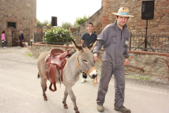 2010_carro-216