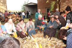 2010_carro-232