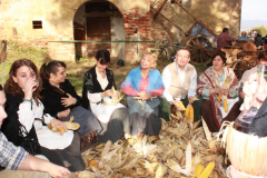2010_carro-233