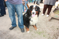 2010_carro-272