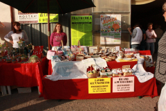 2010_carro-288