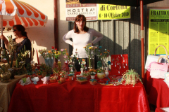 2010_carro-289