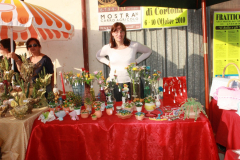 2010_carro-290