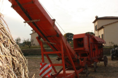 2010_carro-297