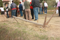 2010_carro-303
